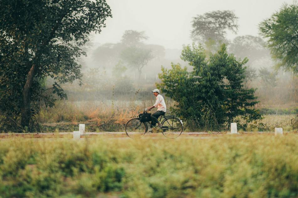 ಅಪ್ಪನ ಅಂಗೈಯಲ್ಲಿ ತಿರುಗುವ ಚಕ್ರಗಳು…: ಲೈಲಾ ಪರ್ವೀನ್‌ ಬರಹ