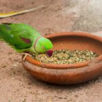 ವಿದ್ಯೆ ಹಾಗೂ ವಿವೇಕ – ಒಟ್ಟಿಗೆ ಇರುವುದಿಲ್ಲವೆ?: ಡಾ. ಎಲ್.ಜಿ. ಮೀರಾ ಅಂಕಣ