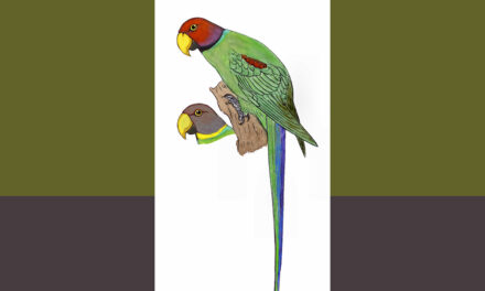 ಕೆಂದಲೆ ಗಿಳಿ: ಡಾ. ಎಸ್.ವಿ. ನರಸಿಂಹನ್‌‌ ಸರಣಿ