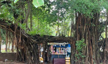 ಆಲದ  ಮರವೆಂಬ ಆಲಯದಲ್ಲಿ: ದೇವಿಕಾ ನಾಗೇಶ್‌ ಬರಹ