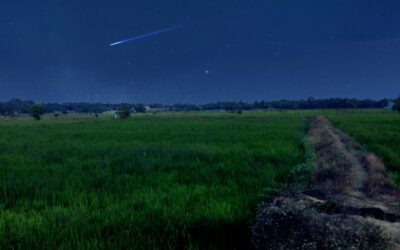 ಕಣಗಾಲ ಮತ್ತು ಕಳ್ಳರು: ಎಸ್. ಗಂಗಾಧರಯ್ಯ ಅನುಭವ ಕಥನ