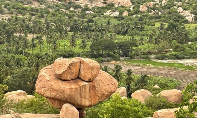 ಒಂಟಿಹೆಣ್ಣು ಮತ್ತು ಹಂಪೆಯಾತ್ರೆ: ಸುಕನ್ಯಾ ಕನಾರಳ್ಳಿ ಅಂಕಣ