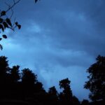 ಭಯ, ಭಕ್ತಿ, ಮತ್ತು ಬೆರಗು!: ಸುಕನ್ಯಾ ಕನಾರಳ್ಳಿ ಅಂಕಣ