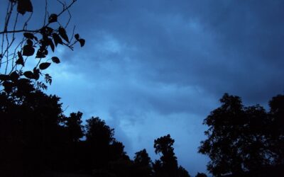 ಭಯ, ಭಕ್ತಿ, ಮತ್ತು ಬೆರಗು!: ಸುಕನ್ಯಾ ಕನಾರಳ್ಳಿ ಅಂಕಣ