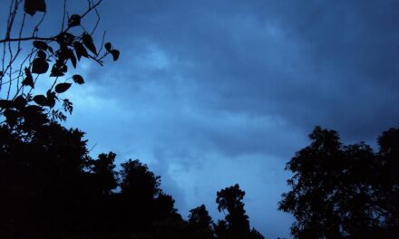 ಭಯ, ಭಕ್ತಿ, ಮತ್ತು ಬೆರಗು!: ಸುಕನ್ಯಾ ಕನಾರಳ್ಳಿ ಅಂಕಣ