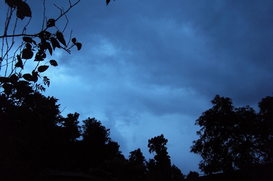 ಭಯ, ಭಕ್ತಿ, ಮತ್ತು ಬೆರಗು!: ಸುಕನ್ಯಾ ಕನಾರಳ್ಳಿ ಅಂಕಣ