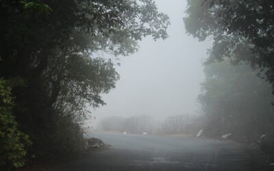 ಸುಮಾವೀಣಾ ಹೊಸ ಅಂಕಣ “ನುಡಿನಲಿವು” ಇಂದಿನಿಂದ