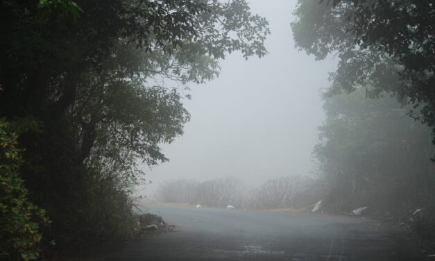 ಸುಮಾವೀಣಾ ಹೊಸ ಅಂಕಣ “ನುಡಿನಲಿವು” ಇಂದಿನಿಂದ