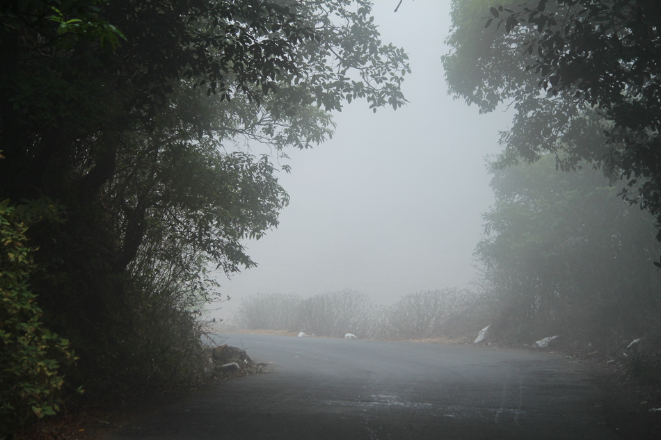 ಸುಮಾವೀಣಾ ಹೊಸ ಅಂಕಣ “ನುಡಿನಲಿವು” ಇಂದಿನಿಂದ