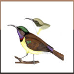 ಖಗರತ್ನ: ಡಾ. ಎಸ್.ವಿ. ನರಸಿಂಹನ್‌‌ ಸರಣಿ