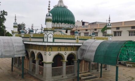 ಚಿಕ್ಕಯನಾಕನಹಳ್ಳಿಯ ತಾತಯ್ಯನ ಗೋರಿ ಮತ್ತದರ ಕುದುರೆ: ಎಸ್. ಗಂಗಾಧರಯ್ಯ ಅನುಭವ ಕಥನ