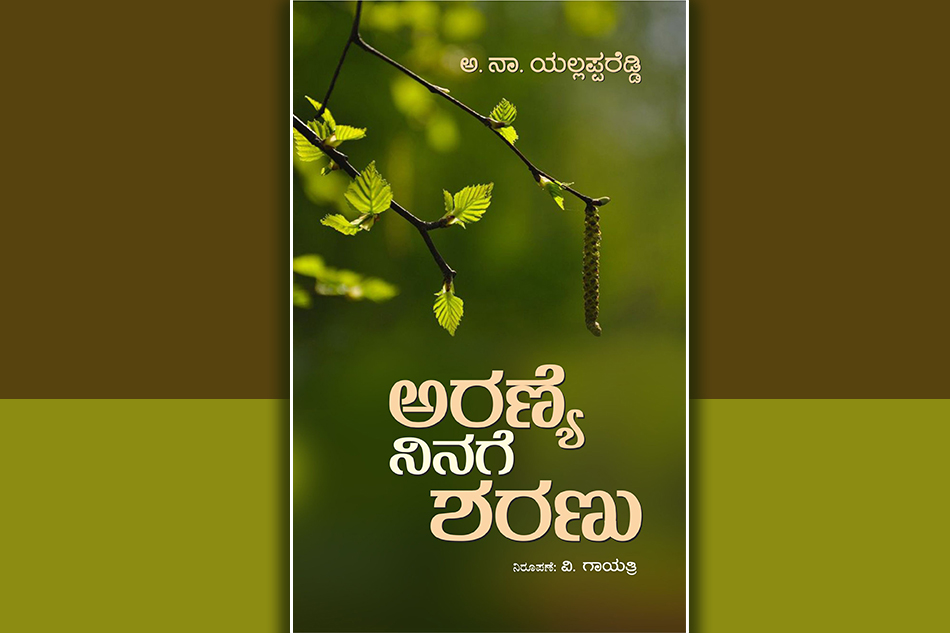 ಪ್ರಕೃತಿ ದೇವಿಗೆ ಮೊದಲ ನಮನ: ದೇವಿಕಾ ನಾಗೇಶ್‌ ಬರಹ