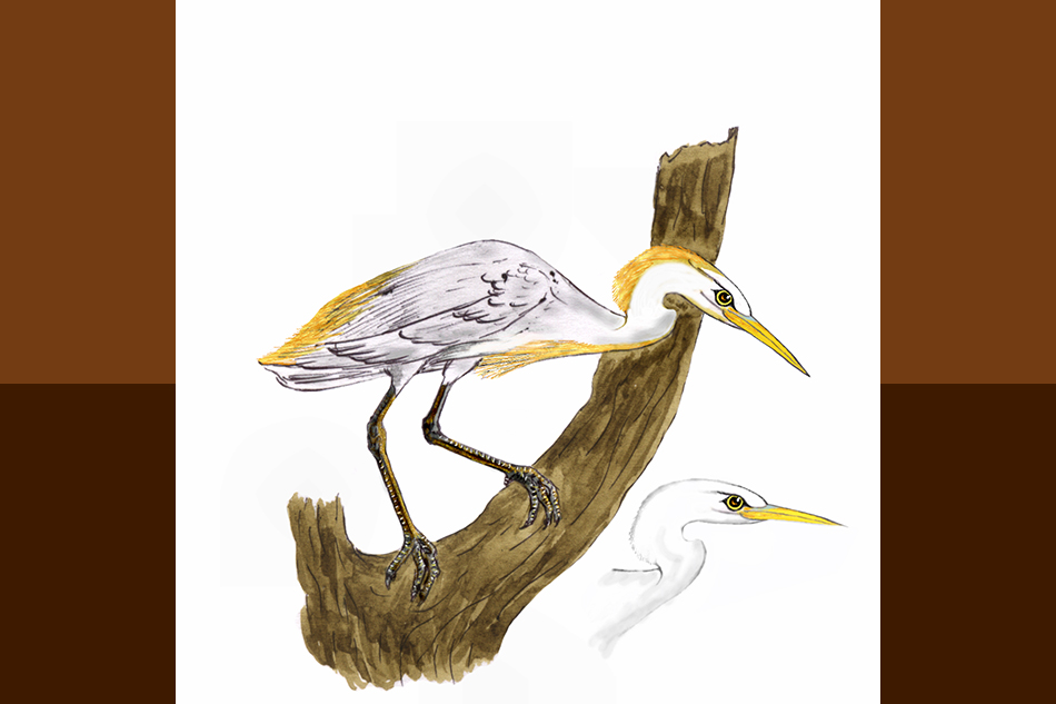 ಗೋವಕ್ಕಿ: ಡಾ. ಎಸ್.ವಿ. ನರಸಿಂಹನ್‌‌ ಸರಣಿ