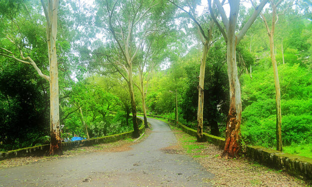 ಯಾರಿಗೂ ಹೇಳದೇ ಬರೇ ನಾವಿಬ್ಬರೇ: “ಹಳೆಯ ಪುಟಗಳಿಂದ…” ಸರಣಿಯಲ್ಲಿ ಸಿಂಧುರಾವ್‌ ಟಿ. ಬರಹ